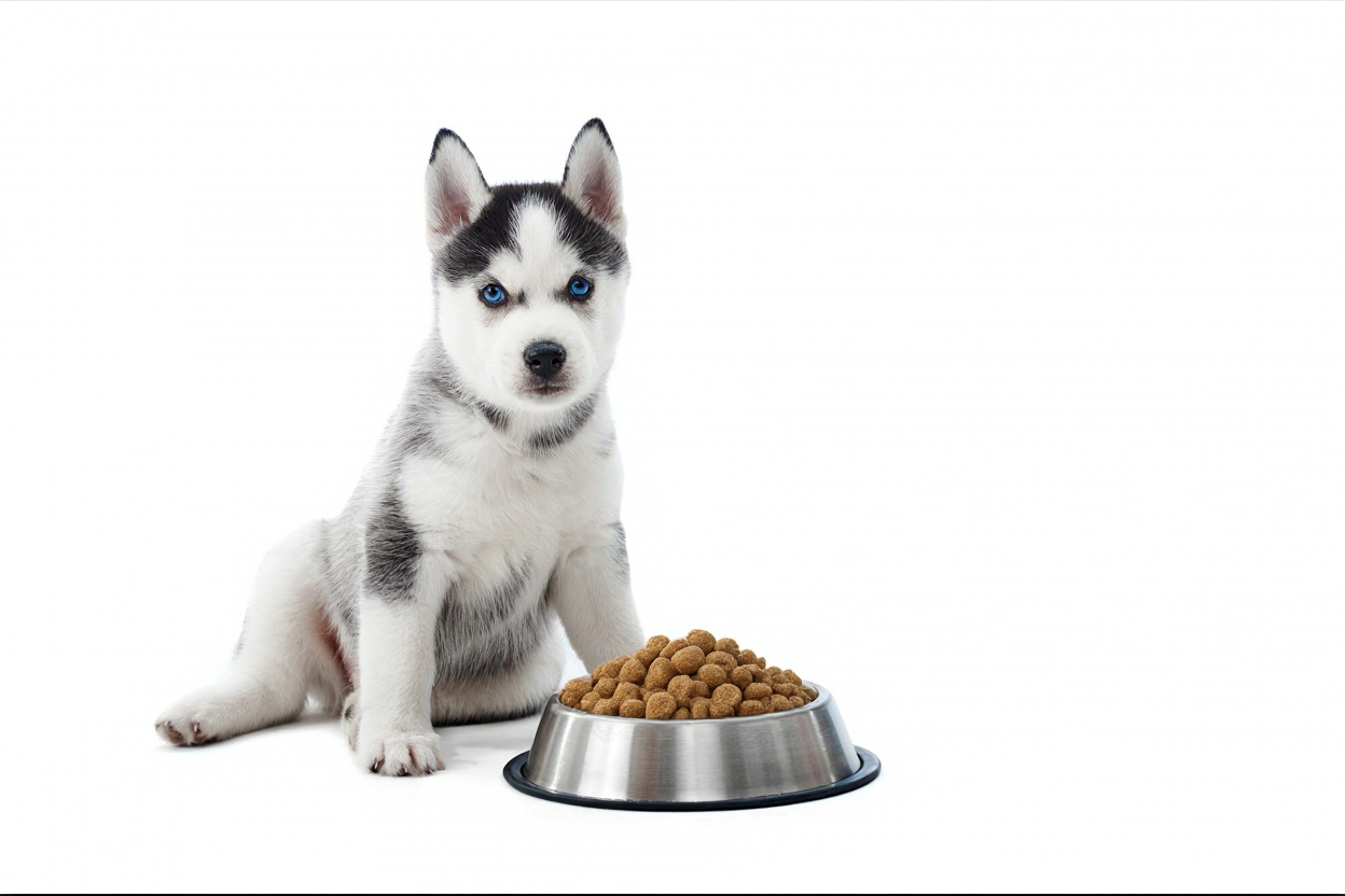 Sabores para Nutrición Animal