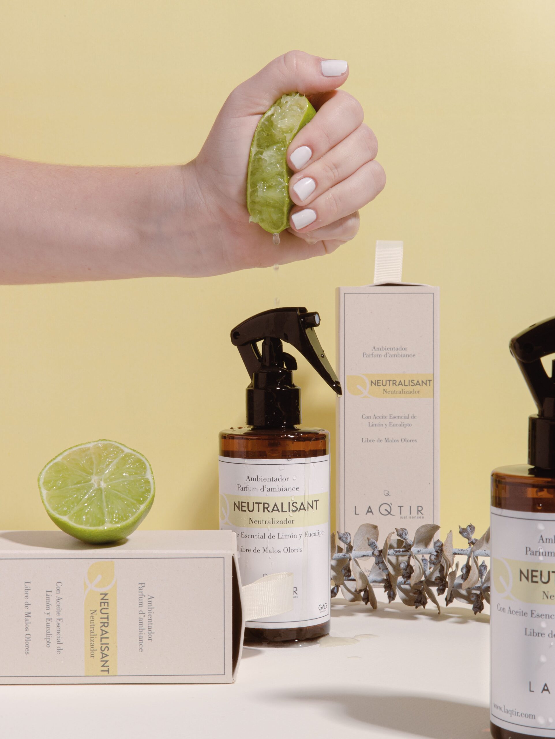 El Placer de los Sentidos