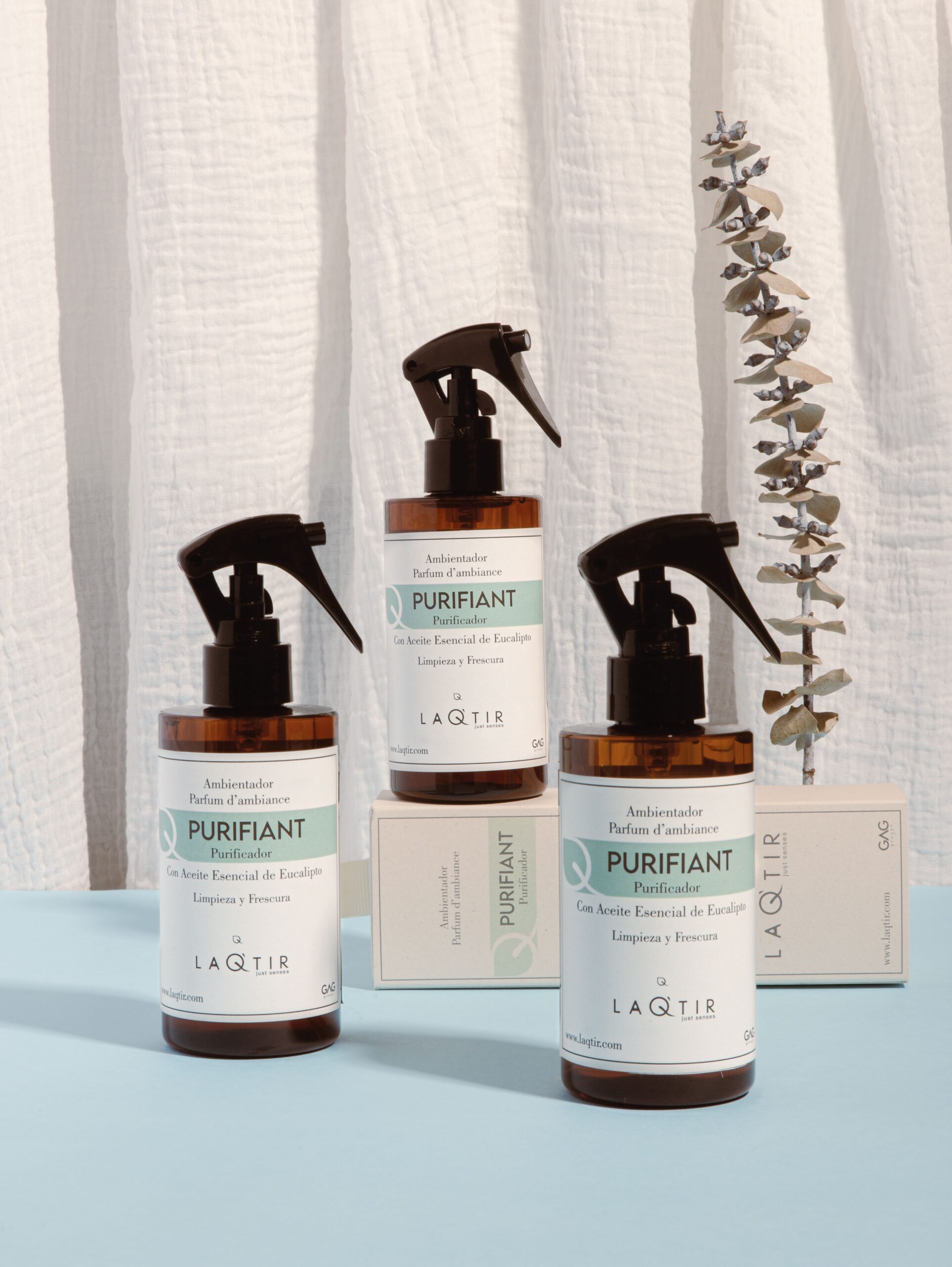 División de Fragancias